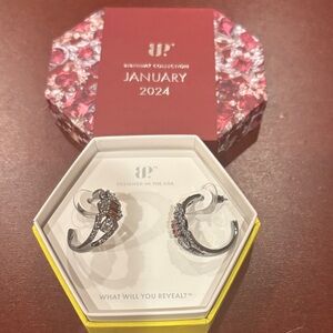 January BP Hematite Earrings with Garnet Accents